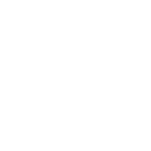 Artec-pichi